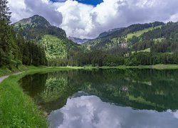 Jezioro, Voralpsee, Drzewa, Las, Góry, Alpy, Kanton Sankt Gallen, Szwajcaria