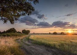 Droga obok pola uprawnego o wschodzie słońca