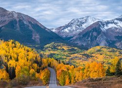 Stany Zjednoczone, Kolorado, Telluride, Góry, Drzewa, Jesień, Droga