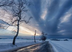 Droga pośród zaśnieżonych pól