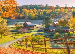 Stany Zjednoczone, Stan Vermont, Nowa Anglia, Jesień, Dom, Droga, Drzewa