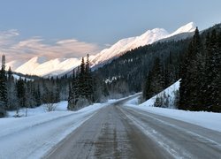 Kanada, Kolumbia Brytyjska, Przełęcz Pine Pass, Droga Highway 97, Góra Murray Range, Zima, Chmury, Las, Drzewa