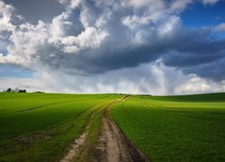 Droga przez zielone pola i chmury na niebie