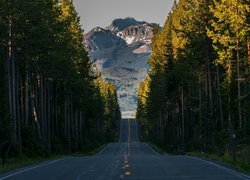 Droga w Parku Narodowym Yellowstone z widokiem na szczyt Grand Teton