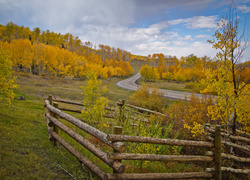 Droga wśród jesiennych wzgórz