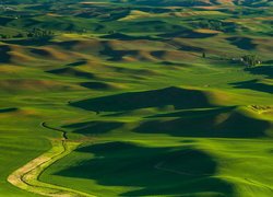 Wzgórza, Droga, Pola, Region Palouse, Stan Waszyngton, Stany Zjednoczone