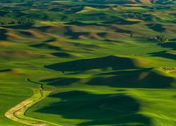 Droga wśród pól na wzgórzach Palouse