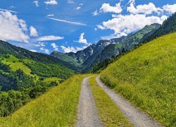 Droga, Wzgórza, Drzewa, Góry, Alpy Szwajcarskie, Szwajcaria
