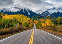 Stany Zjednoczone, Kolorado, Telluride, Szczyty, Góry, San Juan Mountains, Drzewa, Jesień, Droga