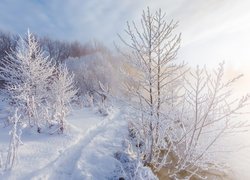 Dróżka w śniegu nad zamgloną rzeką