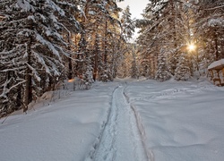 Dróżka wydeptana w śniegu prowadząca do altanki i w głąb lasu