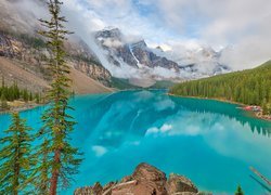 Drzewa dookoła jeziora Moraine i góry we mgle