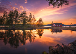 Norwegia, Ringerike, Jezioro Vaeleren, Drzewa, Zachód słońca