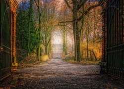 Drzewa i dom za otwartą bramą