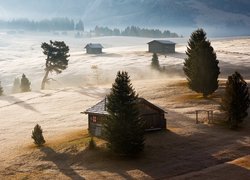 Drzewa i domy na Płaskowyżu Seiser Alm we mgle