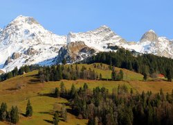 Drzewa i domy na wzgórzu pod ośnieżonymi górami w Szwajcarii