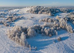 Drzewa i domy przysypane śniegiem