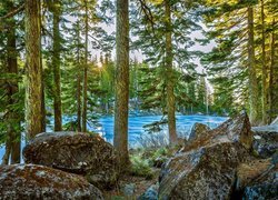 Stany Zjednoczone, Stan Waszyngton, Jezioro Mason Lake, Kamienie, Drzewa, Słońce