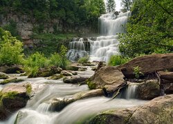 Drzewa i głazy przy wodospadzie Chittenango Falls