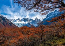 Argentyna, Patagonia, El Chalten, Góry, Mount Fitz Roy, Jesień, Drzewa