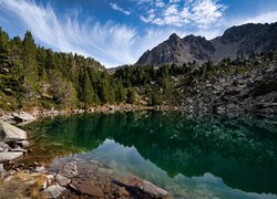 Drzewa i kamienie nad górskim jeziorem