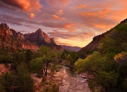 Drzewa i kamienie nad rzeką Virgin River i góra Watchman w tle