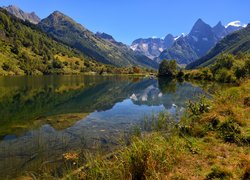 Drzewa i krzewy nad górskim jeziorem