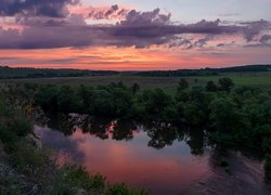 Drzewa i krzewy nad rzeką o wschodzie słońca