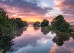 Rzeka, River Stour, Drzewa, Mgła, Chmury, Anglia