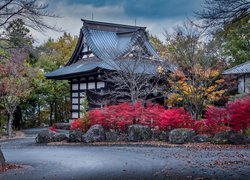 Drzewa i krzewy wokół japońskiego domu minka