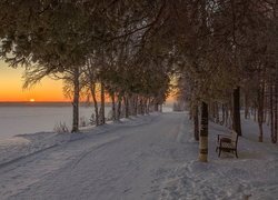 Drzewa i ławka przy drodze nad zasypaną śniegiem rzeką Peczorą