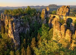 Formacja Bastei, Skały, Drzewa, Most, Park Narodowy Saskiej Szwajcarii, Niemcy