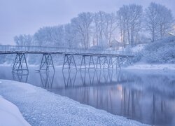 Drzewa i most nad rzeką zimową porą