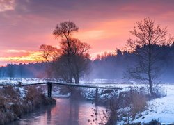 Drzewa i mostek nad rzeką zimową porą