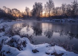 Drzewa i ośnieżone trawy nad rzeką