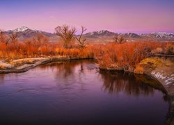 Góry, Jesień, Drzewa, Rośliny, Dolina Owens Valley, Rzeka, Owens River, Eastern Sierra, Kalifornia, Stany Zjednoczone