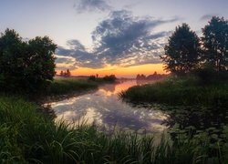 Rzeka, Trawy, Drzewa, Wschód słońca, Chmury