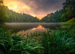 Jezioro Trakoscan, Las, Drzewa, Roślinność, Mgła, Zachód słońca, Chorwacja