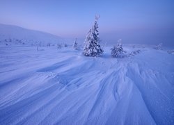 Zima, Śnieg, Zaspy, Góry, Drzewa