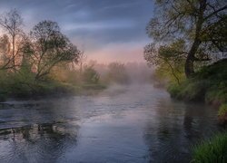 Wiosna, Wschód słońca, Mgła, Rzeka Istra, Drzewa, Obwód moskiewski, Rosja