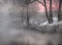 Drzewa i rzeka we mgle