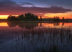 Drzewa i trawa w jeziorze pod kolorowym niebem zachodzącego słońca
