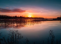 Zachód słońca, Rzeka Łaba, Trawy, Niemcy