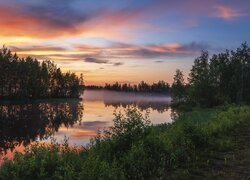 Drzewa i wieczorna mgła nad rzeką