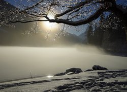 Drzewa i zamglone jezioro w blasku słońca