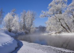 Drzewa i zaspy śniegu na brzegu zamarzniętej rzeki