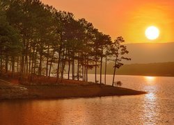 Drzewa iglaste na brzegu jeziora w blasku zachodzącego słońca