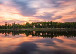 Drzewa na brzegu Jeziora Chatfield Lake w Kolorado