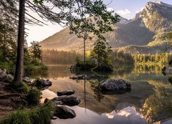 Niemcy, Bawaria, Góry, Alpy, Jezioro Hintersee, Skały, Drzewa
