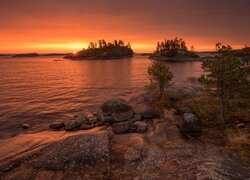 Rosja, Karelia, Jezioro, Ładoga, Drzewa, Zachód słońca, Skały